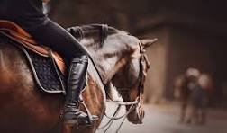 Shoes, Bags, Belts, Leather image